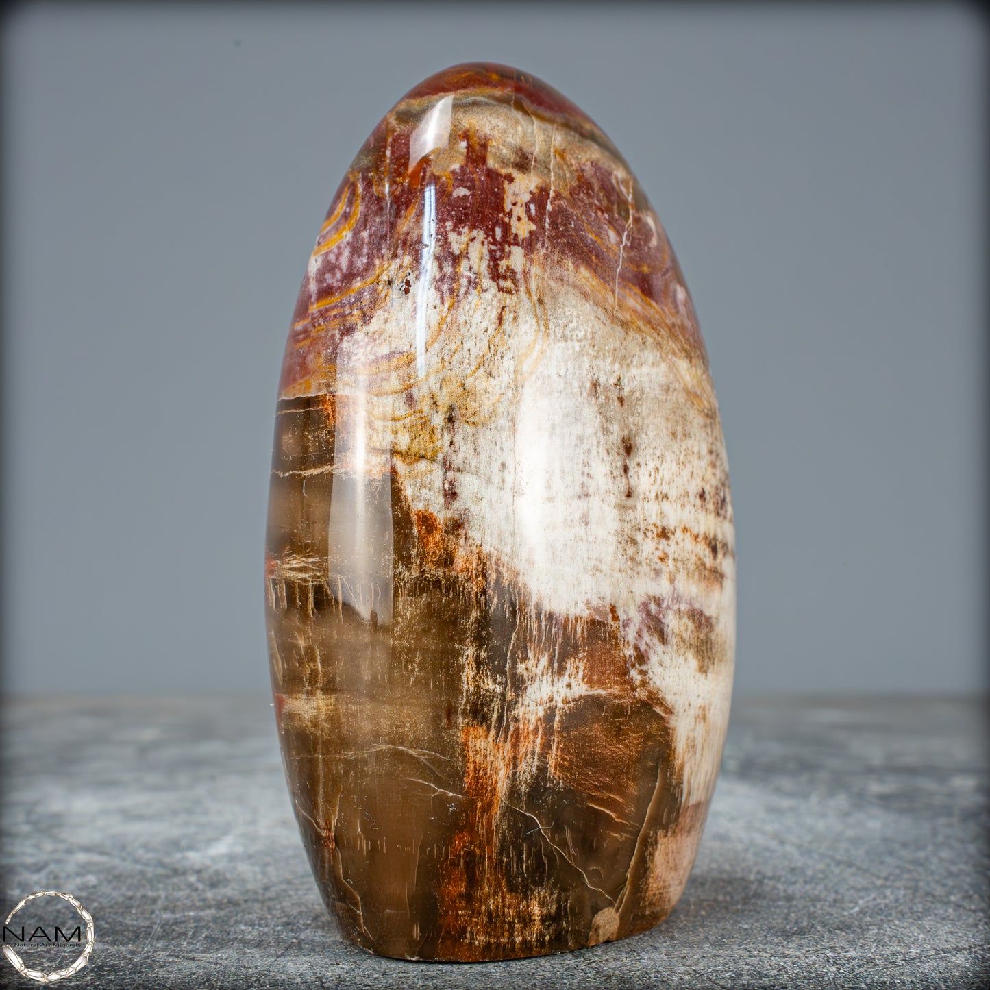 Natürliche Kristall-Freiform aus Versteinertem Holz  - 698,35g
