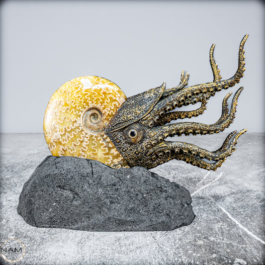 Natürlicher Ammonite verbunden mit Meisterhafter Kunst - 1177,63g