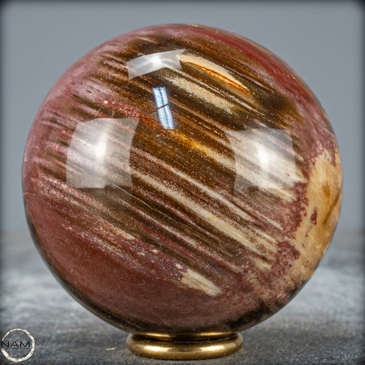 Natürliche Kristall-Kugel aus Versteinertem Holz  - 589,23g