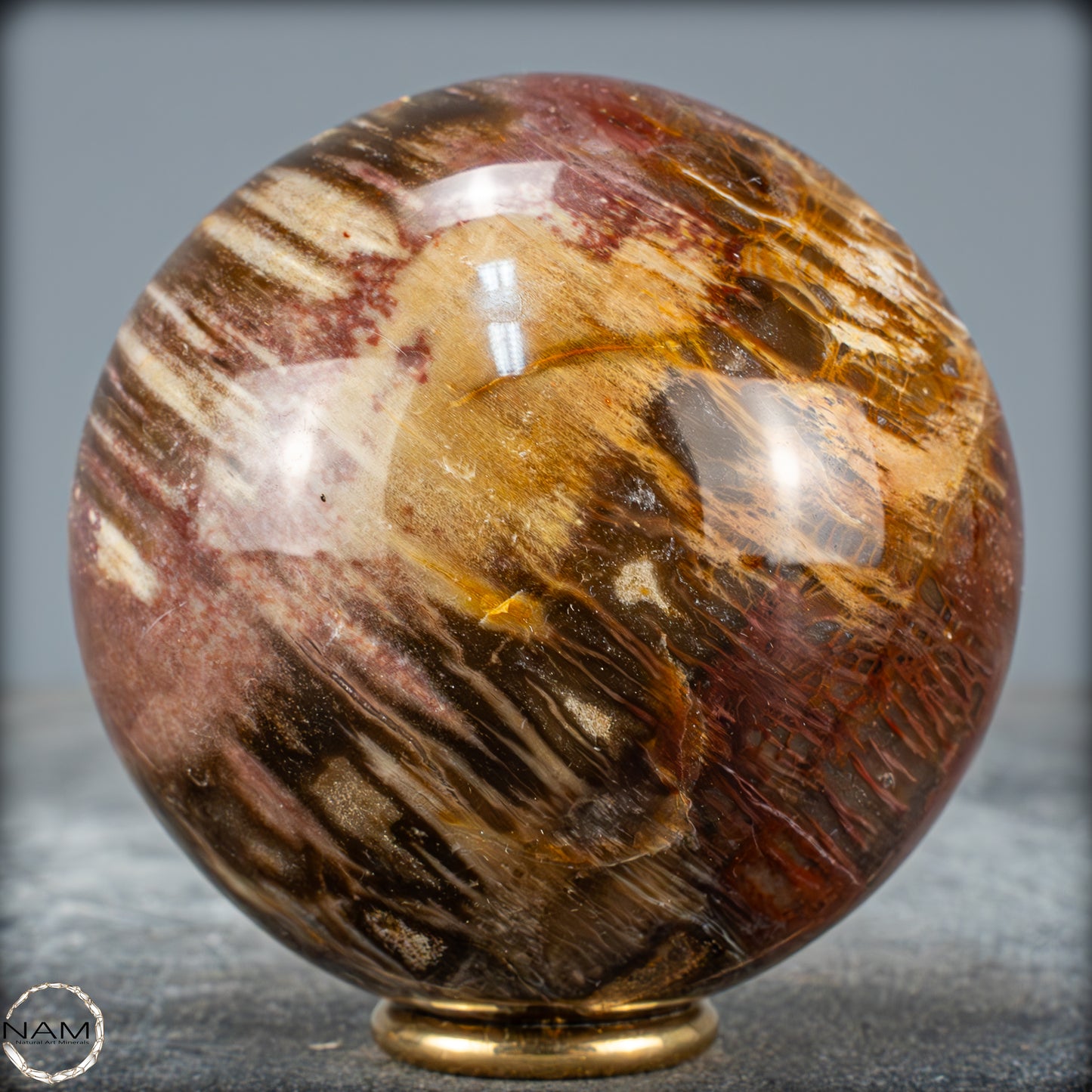 Natürliche Kristall-Kugel aus Versteinertem Holz  - 589,23g