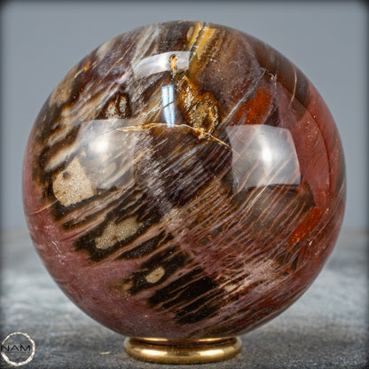 Natürliche Kristall-Kugel aus Versteinertem Holz  - 589,23g