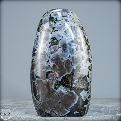 Natürliche Merlinit (Gabbro) Kristall Freiform - 969,08g