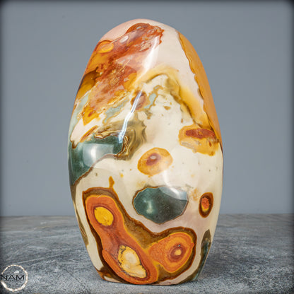 Natürliche Polychrome Jaspis Kristall-Freiform - 2503,79g
