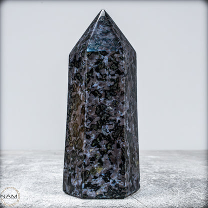 Natürlicher Merlinit (Gabbro) Kristall Obelisk - 633,71g