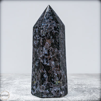Natürlicher Merlinit (Gabbro) Kristall Obelisk - 633,71g
