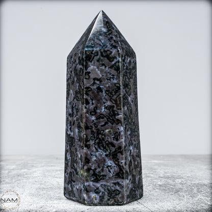 Natürlicher Merlinit (Gabbro) Kristall Obelisk - 633,71g