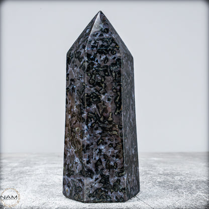 Natürlicher Merlinit (Gabbro) Kristall Obelisk - 633,71g