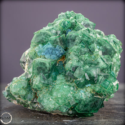 Natürliche Grüner Fluorit Kristalle auf Matrix - 3449,12g