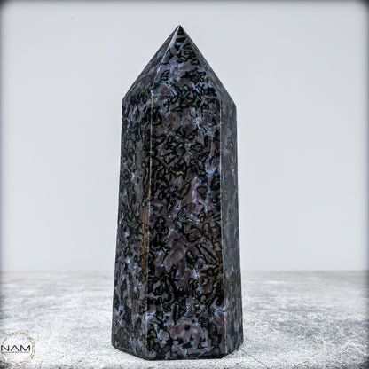 Natürlicher Merlinit (Gabbro) Kristall Obelisk - 633,71g
