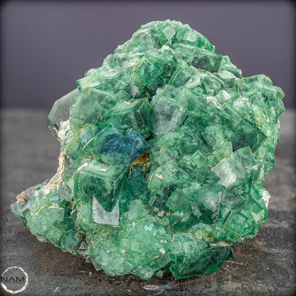 Natürliche Grüner Fluorit Kristalle auf Matrix - 3449,12g