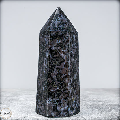Natürlicher Merlinit (Gabbro) Kristall Obelisk - 633,71g