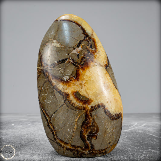 Natürliche Septarien-Kristall Freiform - 767,41 g