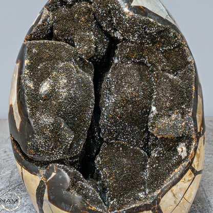 Natürliche Septarien Druse mit Calzit Kristallen, Spitzenqualität - 5148,51g