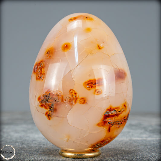 Natürliches Carneol-Kristall Ei - 544,72g