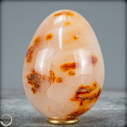 Natürliches Carneol-Kristall Ei - 544,72g