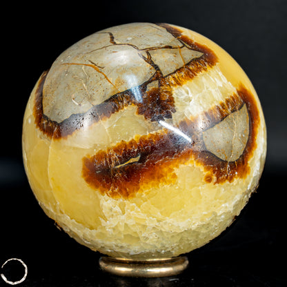 Natürliche Septarien-Kristall Kugel -549,41 g