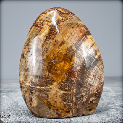 Natürliche Kristall-Freiform aus Versteinertem Holz  - 799,64g