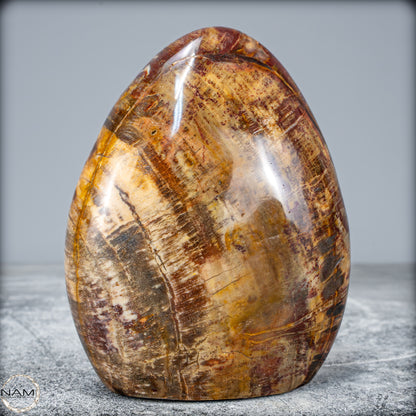 Natürliche Kristall-Freiform aus Versteinertem Holz  - 799,64g