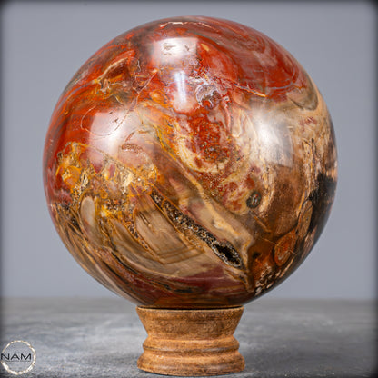 Natürliche Kristall-Kugel aus Versteinertem Holz  - 2095,43g - 117mm