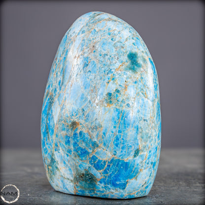 Natürliche Blaue Apatit Kristall-Freiform - 840,81g