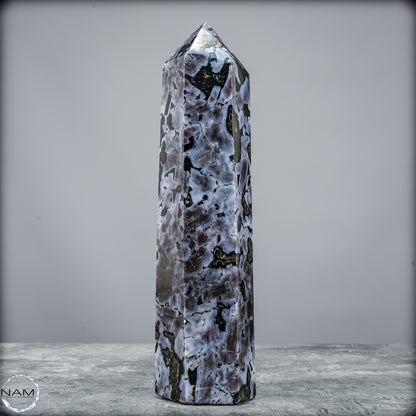 Natürlicher Merlinit (Gabbro) Kristall Obelisk - 745,75 g