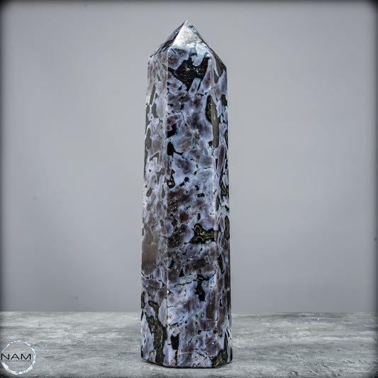 Natürlicher Merlinit (Gabbro) Kristall Obelisk - 745,75 g