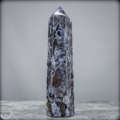 Natürlicher Merlinit (Gabbro) Kristall Obelisk - 745,75 g