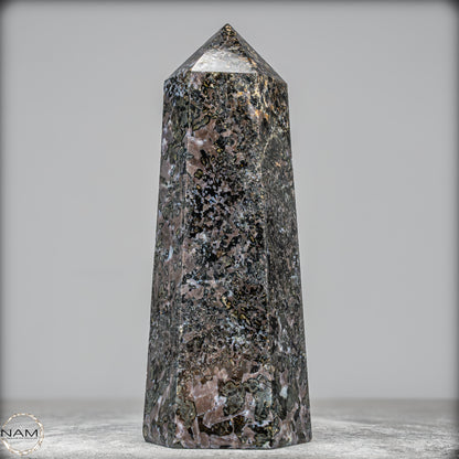 Natürlicher Merlinit (Gabbro) Kristall Obelisk - 1675,65g
