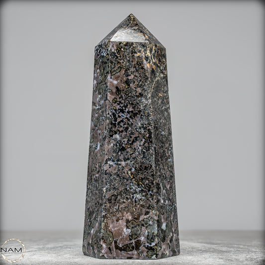 Natürlicher Merlinit (Gabbro) Kristall Obelisk - 1675,65g