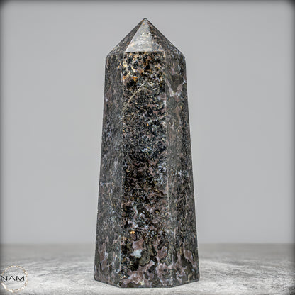 Natürlicher Merlinit (Gabbro) Kristall Obelisk - 1675,65g