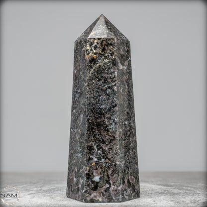Natürlicher Merlinit (Gabbro) Kristall Obelisk - 1675,65g