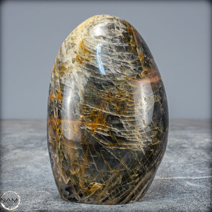 Natürliche Funkelnde Mondstein Kristall-Freiform - 791,28g