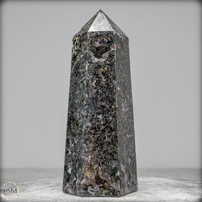Natürlicher Merlinit (Gabbro) Kristall Obelisk - 1675,65g