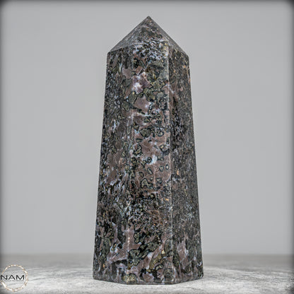 Natürlicher Merlinit (Gabbro) Kristall Obelisk - 1675,65g