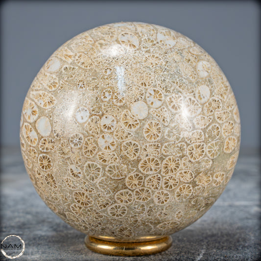 Natürliche Fossile Koralle als Kugel - 412,73g - 70mm