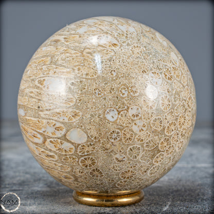 Natürliche Fossile Koralle als Kugel - 412,73g - 70mm