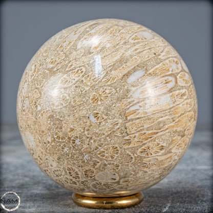 Natürliche Fossile Koralle als Kugel - 412,73g - 70mm