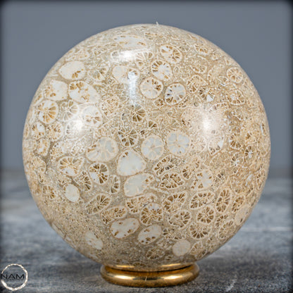 Natürliche Fossile Koralle als Kugel - 412,73g - 70mm