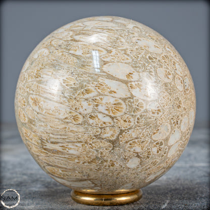 Natürliche Fossile Koralle als Kugel - 412,73g - 70mm