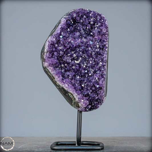 Natürliche Amethyst-Kristalle/Druse auf Ständer - 2213,94g