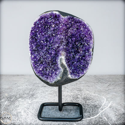 Natürliche Amethyst-Kristalle/Druse auf Ständer - 2276,64g