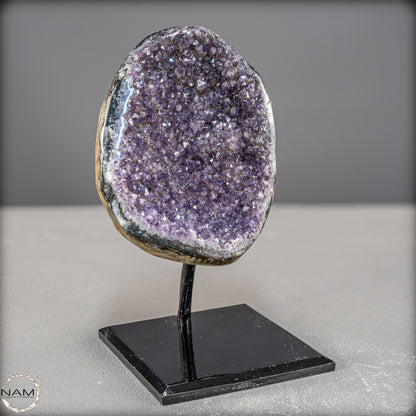 Natürliche Amethyst-Kristalle/Druse auf Ständer - 1561,23g