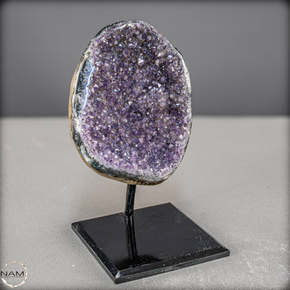 Natürliche Amethyst-Kristalle/Druse auf Ständer - 1561,23g