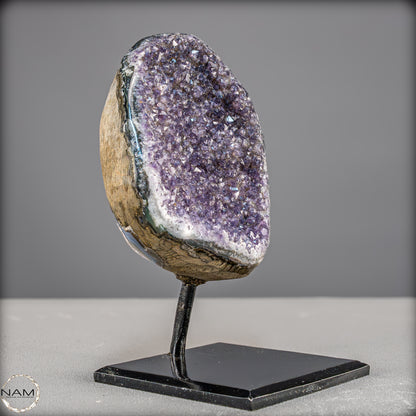 Natürliche Amethyst-Kristalle/Druse auf Ständer - 1561,23g