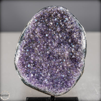 Natürliche Amethyst-Kristalle/Druse auf Ständer - 1561,23g
