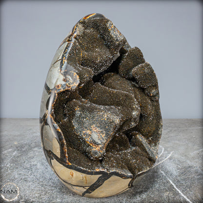 Natürliche Septarien Druse mit Calzit Kristallen, Spitzenqualität - 4528,88g