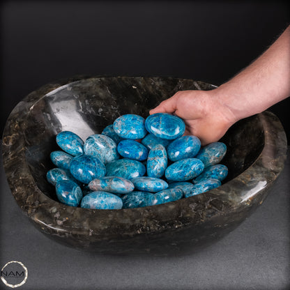 Apatit-Trommelsteine in Spitzenqualität – Faszinierende Blau- und Türkistöne für anspruchsvolle Mineraliensammler