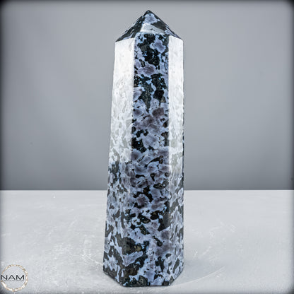 Natürlicher Merlinit (Gabbro) Kristall Obelisk - 2289,75 g