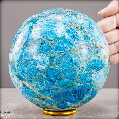 Natürliche Große Blaue Apatit-Kristall Kugel - 3251,66 g