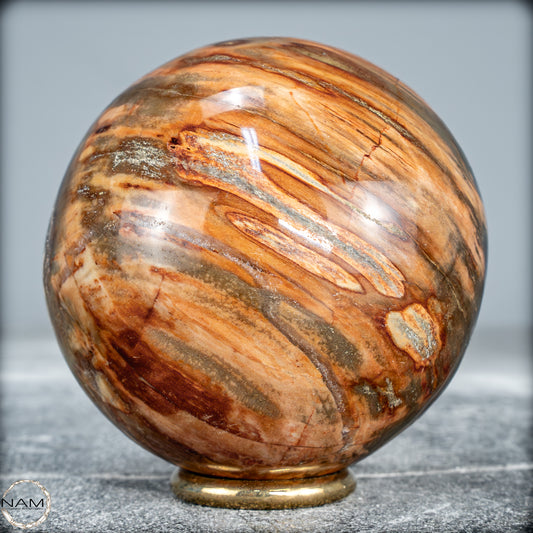 Natürliche Kristall-Kugel aus Versteinertem Holz  - 392,64g